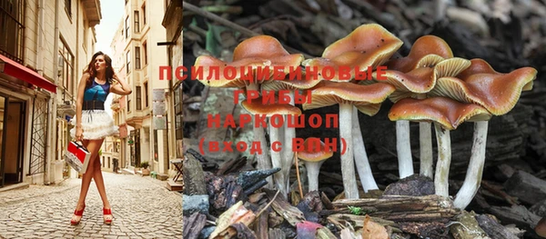 марки lsd Нея