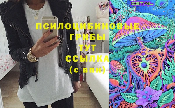 прущая мука Новодвинск