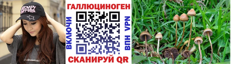 blacksprut ссылки  как найти закладки  Ветлуга  Галлюциногенные грибы прущие грибы 
